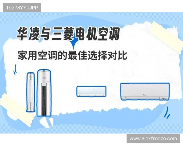 3377体育平台的优势与不足详细分析帮助用户做出明智选择